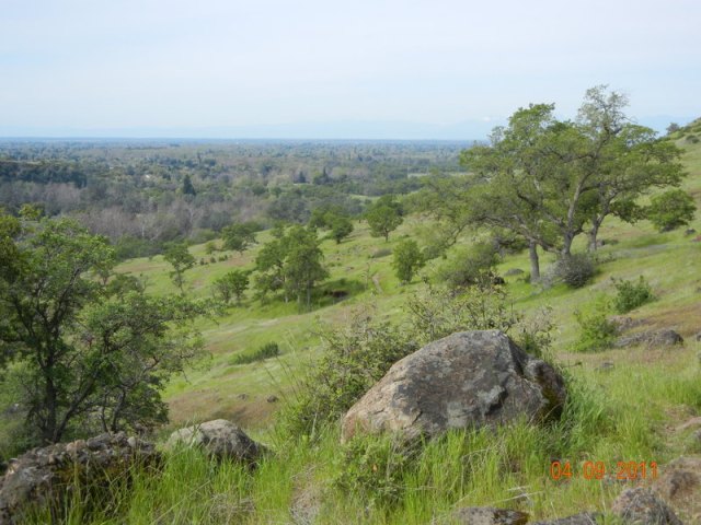 Upper Bidwell Park