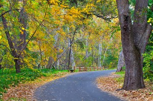 Photo of Bidwell Park in autumn by Anthony Dunn