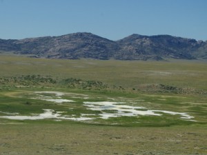 A bed of "Glauber salts" near Devil's Gate.