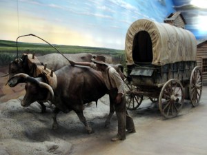 3wagon&oxen
