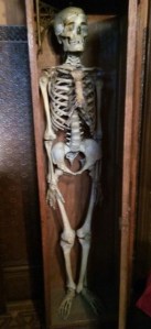 IMG_20171207_144205630