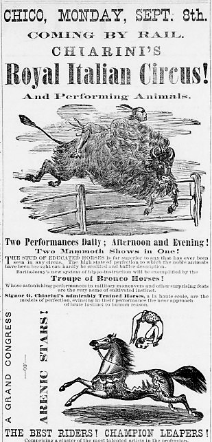 CWE18790829.1.2-3780-162-1237-2569-309w