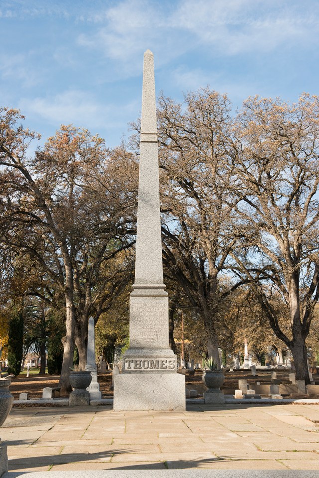 68098647_135371383173